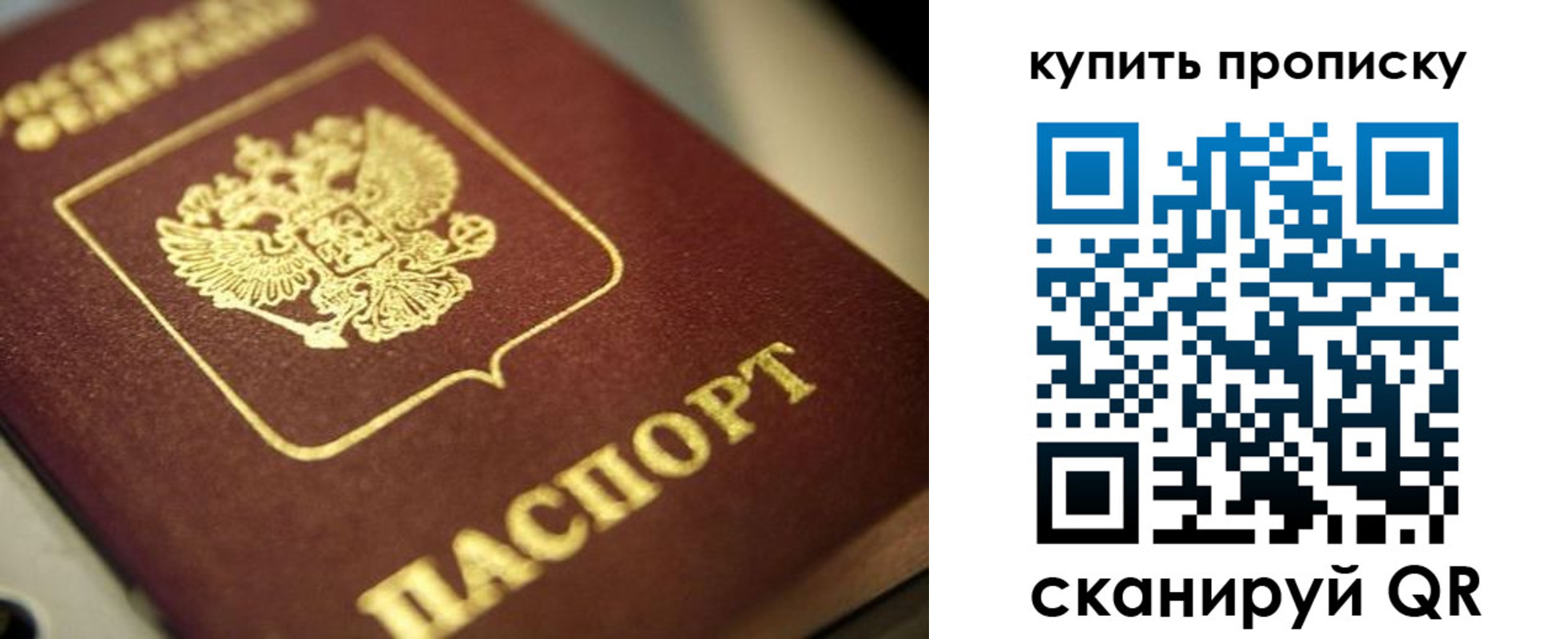 прописка поиск в Армавире